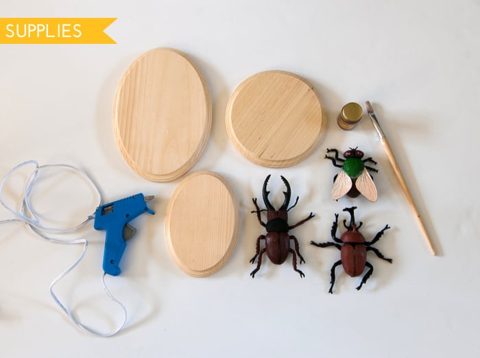DIY Gilded Insect Plaques Supplies